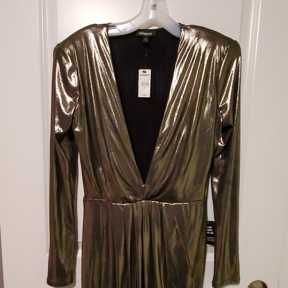 Express Platinum Dress